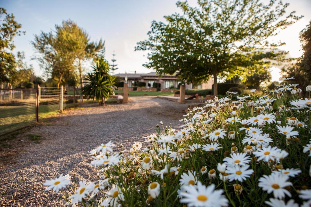 Agroturismo Can Pere Rei Son Serra de Marina Εξωτερικό φωτογραφία