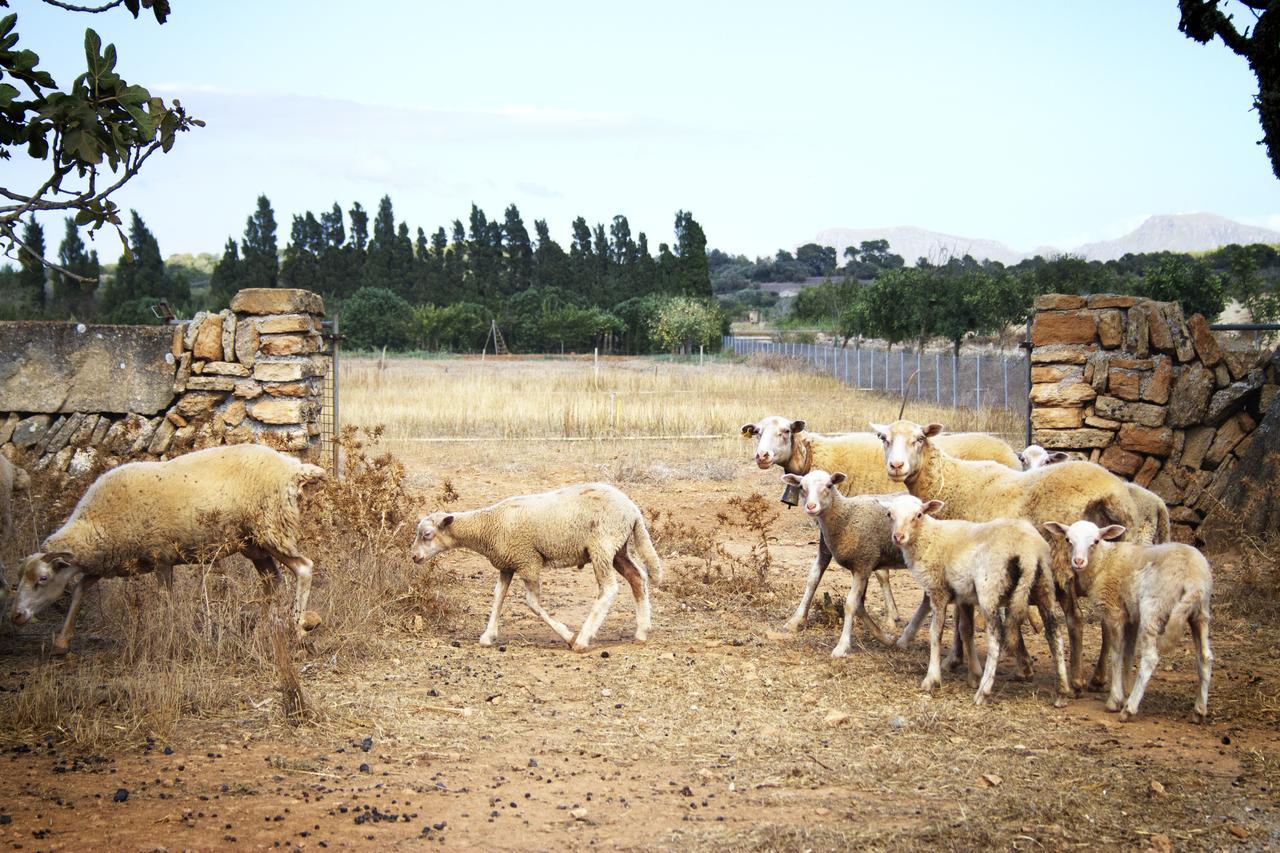 Agroturismo Can Pere Rei Son Serra de Marina Εξωτερικό φωτογραφία